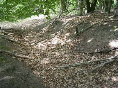 Reste der Sprungschanze Geltow