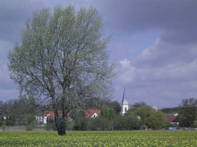 Kirche in Eiche